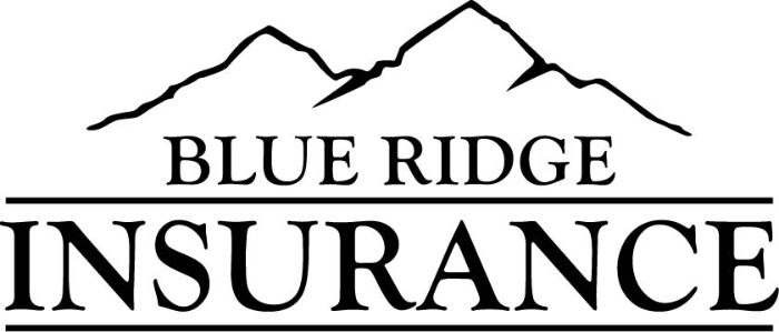 Blue Ridge Insurance homepage